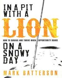 In a pit with a lion on a snowy day