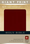 Holy Bible, Giant Print NLT (Holy Bible: Nltse)