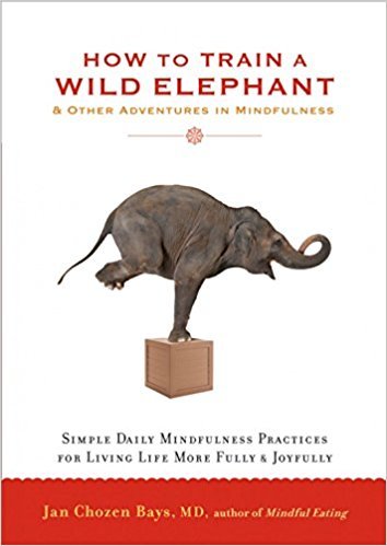 How to Train a Wild Elephant
