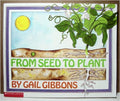 From seed to plant