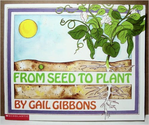 From seed to plant