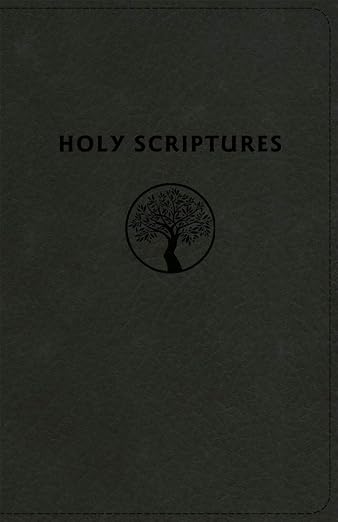 TLV Personal Size Giant Print Reference, Holy Scriptures, Black LeatherTouch