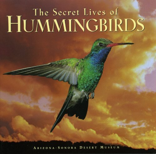 The secret lives of hummingbirds