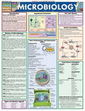 Microbiology