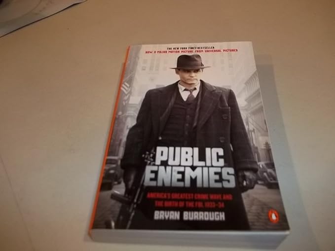 Public Enemies
