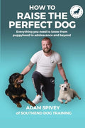 How To Raise The Perfect Dog