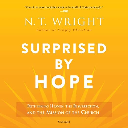 Surprised by Hope Lib/E