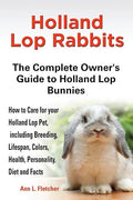 Holland lop rabbits