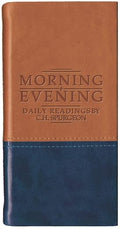 Morning and Evening - Matt Tan/Blue