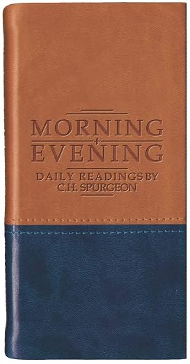 Morning and Evening - Matt Tan/Blue