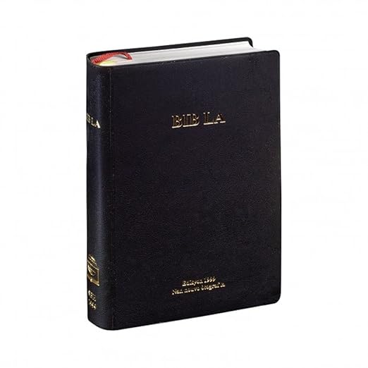 Haitian Creole Bible
