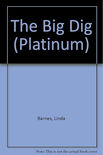 The big dig