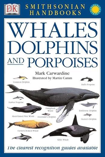 Whales & Dolphins