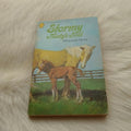 Stormy - Misty's Foal