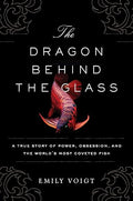 The dragon behind the glass