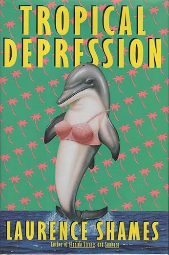Tropical depression