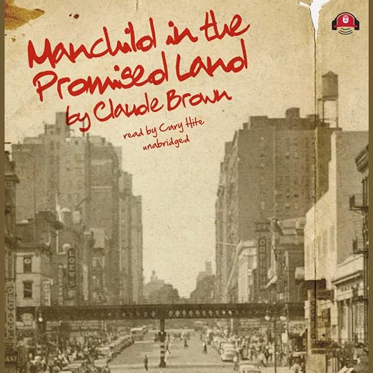 Manchild in the Promised Land