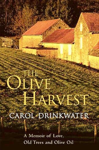 The Olive Harvest