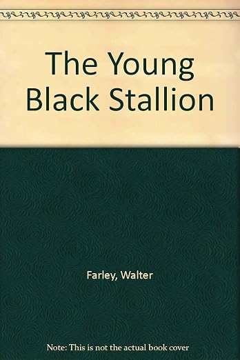 The Young Black Stallion