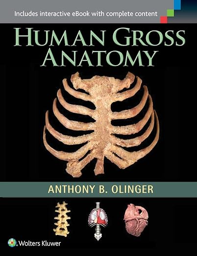 Human Gross Anatomy
