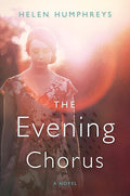 The evening chorus