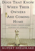 Dogs That Know When Their Owners Are Coming Home