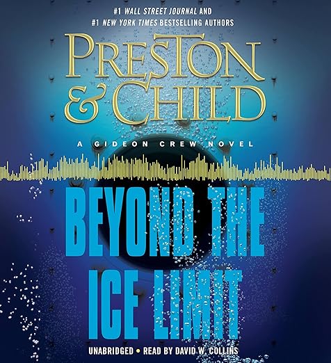 Beyond the Ice Limit