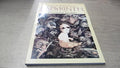 The goblins ofLabyrinth