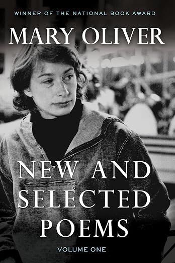 New and selected poems