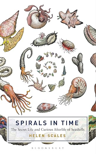 Spirals in time