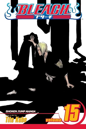 Bleach vol 15