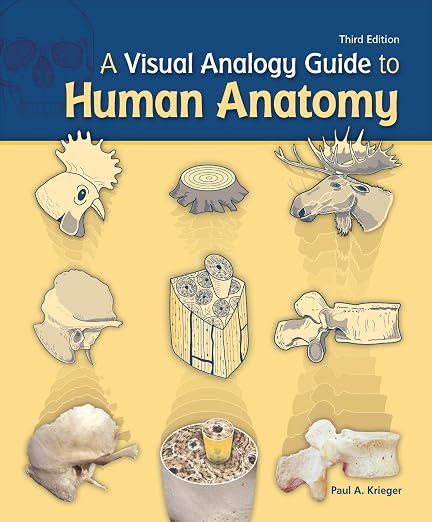 A visual analogy guide to human anatomy