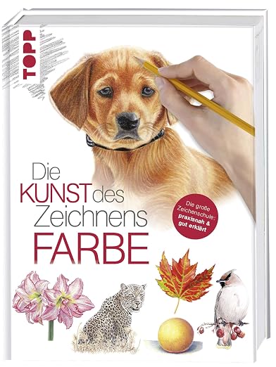 Die Kunst des Zeichnens Farbe : Die große Zeichenschule