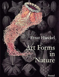 Art forms in nature