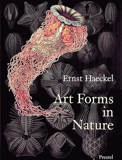 Art forms in nature