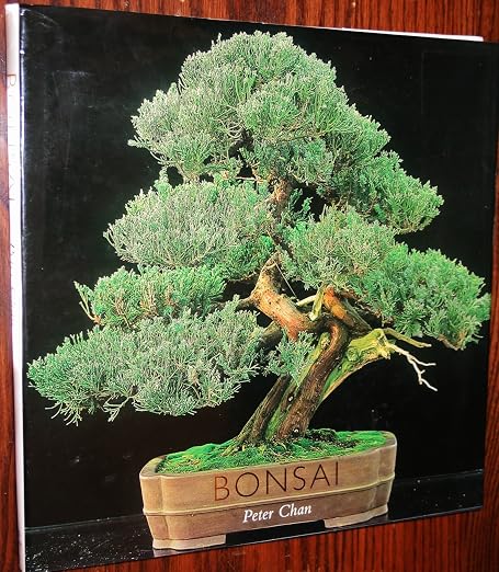 Bonsai