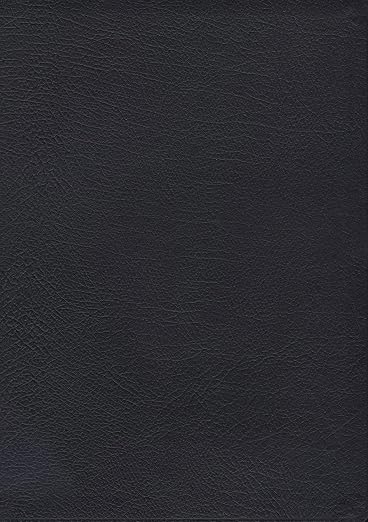The MacArthur Study Bible