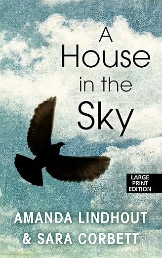 A house in the sky