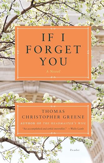 If I Forget You
