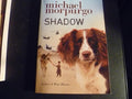 Shadow