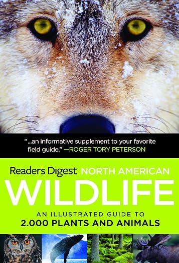 North American Wildlife